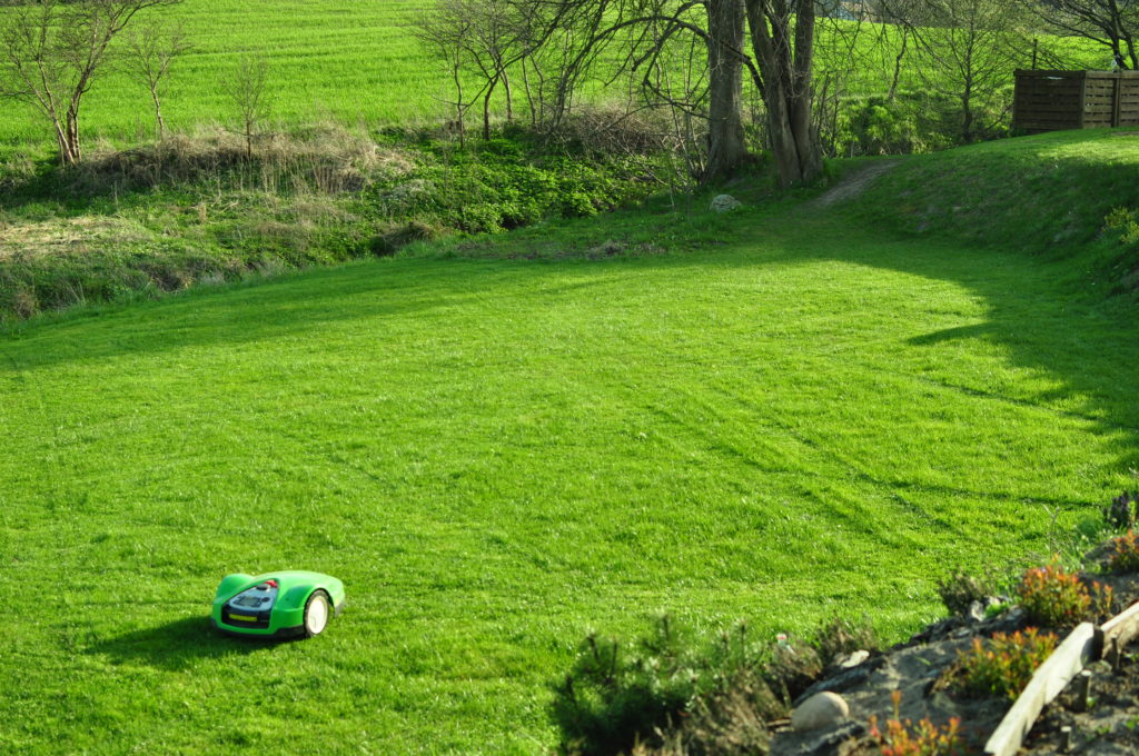 Robot koszący trawnik