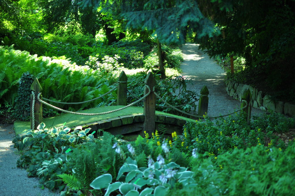 Arboretum Wojsławice - mostek