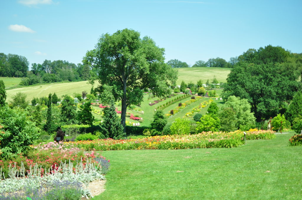Panorama Arboretum Wojsławice.